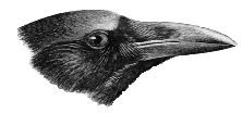 crow head